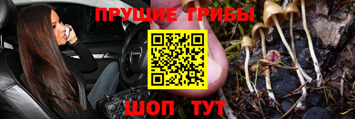 Псилоцибиновые грибы GOLDEN TEACHER  Псилоцибиновые грибы ЛСД  купить наркотики сайты  Вход с VPN  Южноуральск 